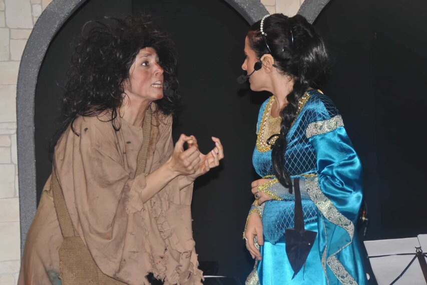 Foto di scena dello spettacolo Dame & Cavalieri